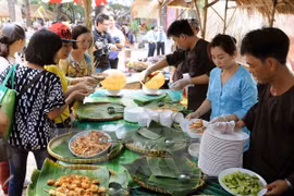 Japan shares experience in developing food industry