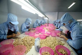 ASEAN ministers want considerable progress on RCEP