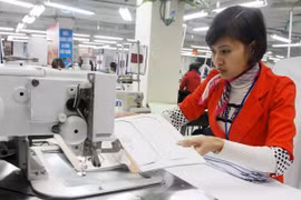 Experts, entrepreneurs to join Vietnam business development forum 