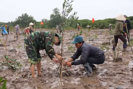 Vietnam stresses wetlands’ role in disaster risk reduction