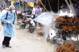 Ministry launches national bird flu control programme