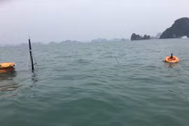 Quang Ninh: ship sinks, all 31 Chinese tourists saved 