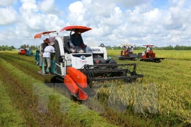 Almost one third of communes recognised as new-style rural areas