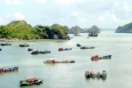 Hai Phong greets 1.32 million tourists in Q1