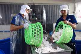 Ben Tre aims to fetch 400 million USD from exports