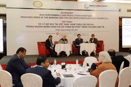 Vietnam says bad debts under control
