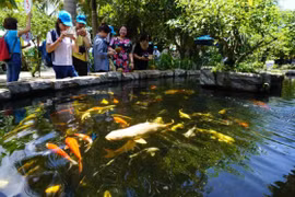 HCM City advised to fully tap agritourism potentials