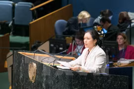 ECOSOC: Vietnam calls for continued resources for development