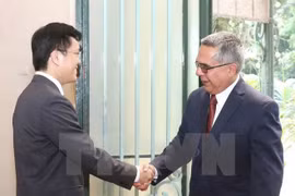 Vietnam, Cuba hold fourth political consultation in Hanoi