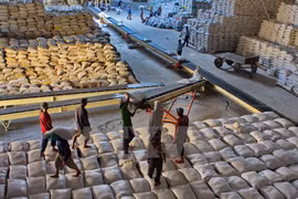 Opportunity for Vietnam to export rice to Sri Lanka