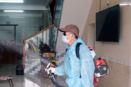 Ho Chi Minh City records three dengue fever deaths in 2017