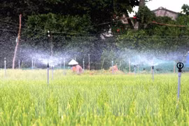 Mekong Delta region targets 9.4 percent export growth