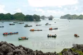 Hai Phong city welcomes 3 million tourists first half of 2017
