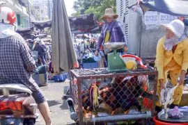 HCM City on alert against bird flu outbreaks