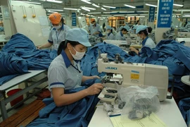 HCM City: SOEs told to publicly disclose business information