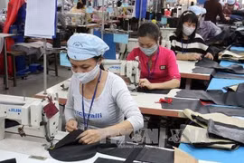 Vietnamese firms urged to find ways to step up EU exports