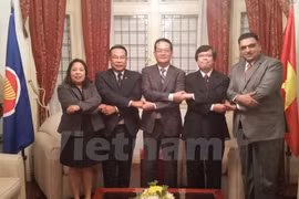Vietnam actively promotes ASEAN-Argentina cooperation 