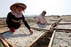 Binh Dinh targets 4.5 bln USD in exports in five years