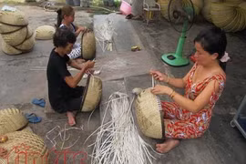 Vocational training aids HCM City’s rural folk
