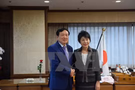 Japan’s justice ministry keeps all-round cooperation with Vietnam