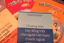 Project improves Vietnamese teaching for expatriates
