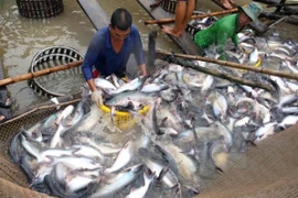 Vietnam, Norway confer on aquaculture