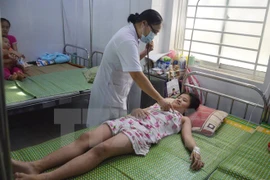 Hospitals urged to improve dengue fever treatment