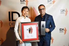 Vietnamese artist receives medal for public work