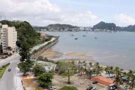 Quang Ninh’s cooperatives build linkages to survive