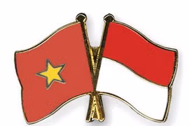 Seminar spotlights Vietnam-Indonesia partnership