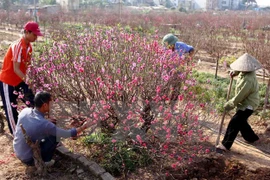 Needy people ensured warm Tet holiday