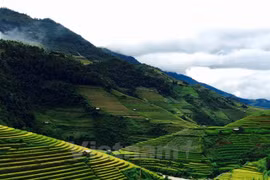 Yen Bai develops concentrated tourist areas 