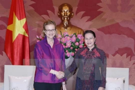 NA Chairwoman receives new UNDP Country Director for Vietnam