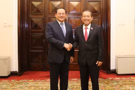 Vietnamese, Lao Deputy PMs hold talks 