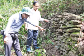 Excavation digs up artifacts in ancient temple