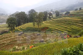 Sa Pa crowded with tourists in New Year’s first days 