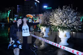 Hai Phong hosts Vietnam-Japan cultural exchange festival