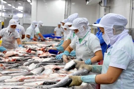 Seafood processing fuels export in Tien Giang