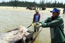 Deputy PM asks to complete marine incident compensation in November 