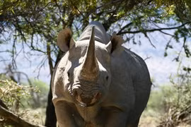 Youths encouraged joining wildlife protection activities