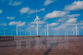 Australia not decides to apply anti-dumping duties on VN’s wind towers