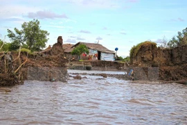 Serious erosion occurs in western coast of Kien Giang