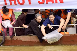 Mass fish release on Lo River on Vu Lan fest