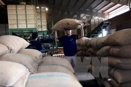 Algeria ranks fourth among Vietnam’s export destinations in Africa