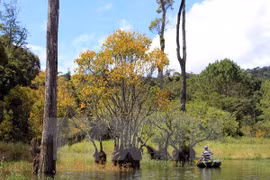 Tuyen Lam Lake tourist site becomes national tourism site 