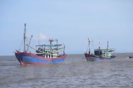 PM orders urgent actions to curb illegal fishing 