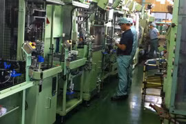 Japan ranks second in foreign investment in Binh Duong 