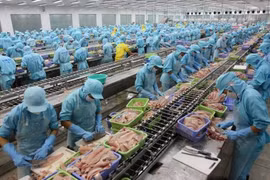 Exporters anxious to fight illegal fishing