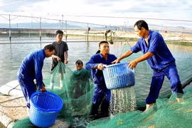 Vietnam maps out marine use plan