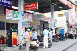 Trade ministry: E5 bio-fuel meets local demand